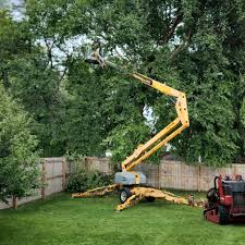 Best Tree Mulching  in Mauriceville, TX